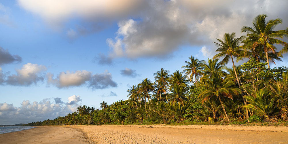 Escaping the Cold: Choosing Travel Binoculars for Winter Getaways